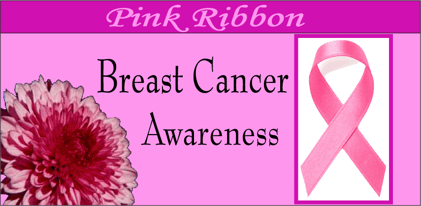 breast cancer awareness, breast cancer awareness Tshirts, shirts 3 day walk, the three day, the three day tshirt, pink ribbon tshirt, breast cancer awareness merchandise, october is breast cancer awareness month, the breast cancer tshirt site, susan b an, komen cure, komen for the cure, 